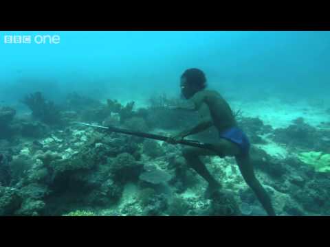 Filipino Badjao Superhuman - Can Breath Up to 5 Minutes Underwater