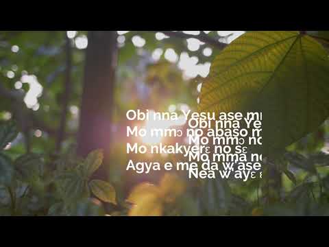 DESTINY CHANGER by NANA AMA SAFOWAAH