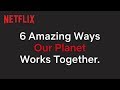 Unlikely Animal Friendships in Our Planet | Netflix