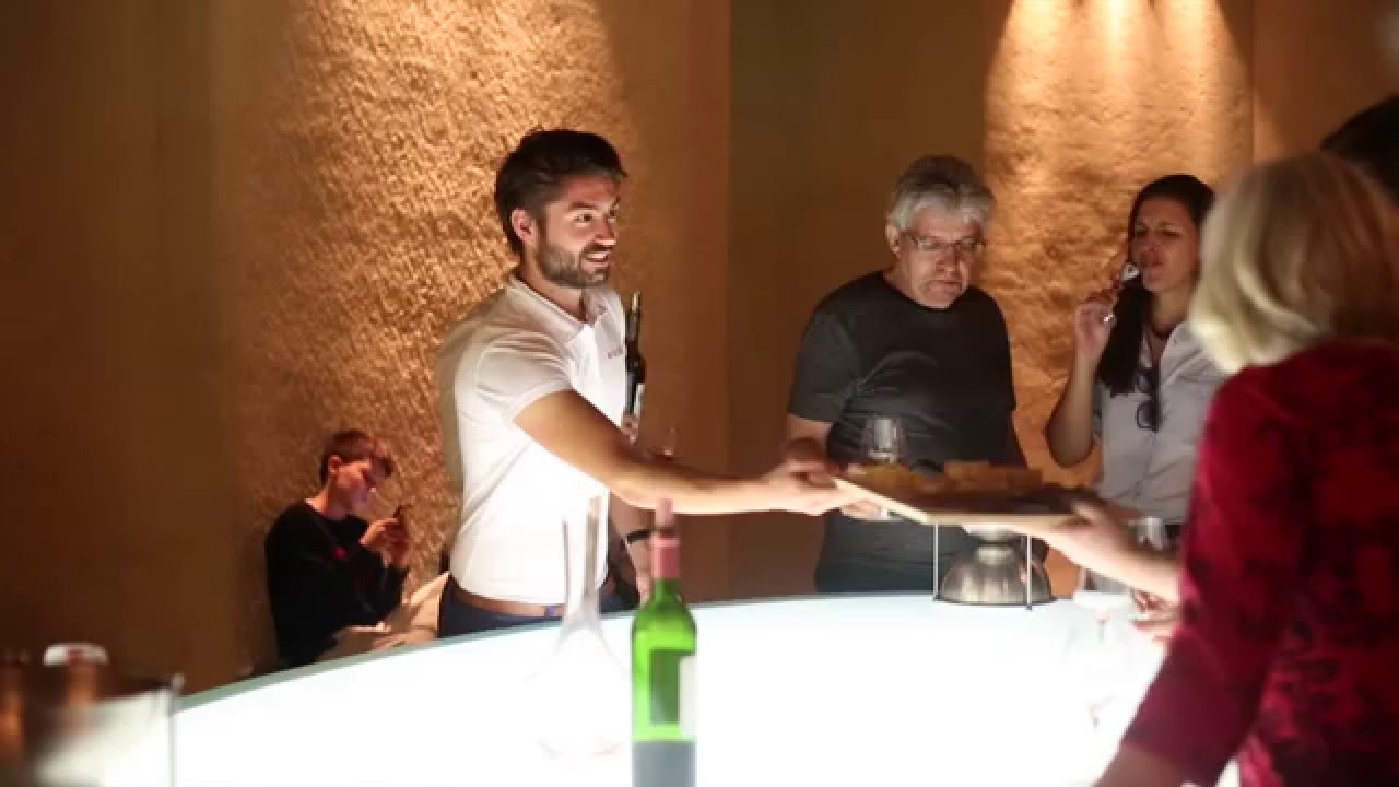 Excursion d'une journée complète dans les Grands Crus Classés du Médoc et de Saint-Émilion
