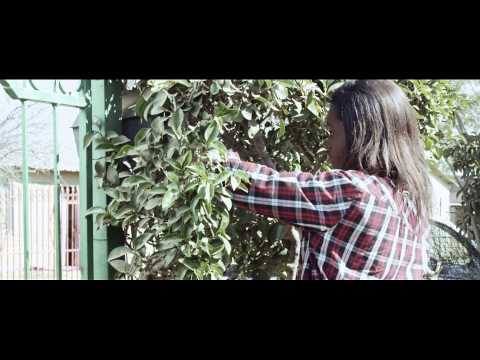 Sym19 - Nice Like You [Official Video]