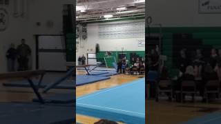 Emi Quill Gymnastics Conference Meet Maple Lake