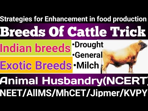 , title : '#StrategiesTrick|Indian Breed of Cattle|Exotic Breeds|Milch,Drought,General ability breed|NEET|NCERT'