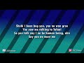 Burna Boy Like To Party Lyric Video