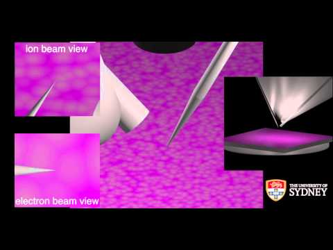 FIB of atom probe samples - plan lift-out