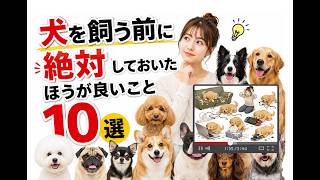 犬を飼う前に絶対しておいたほうが良いこと10選
