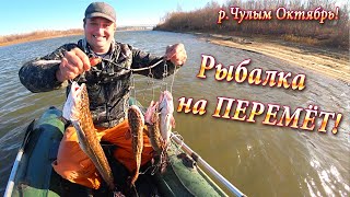 Налим как ловить на чулыме