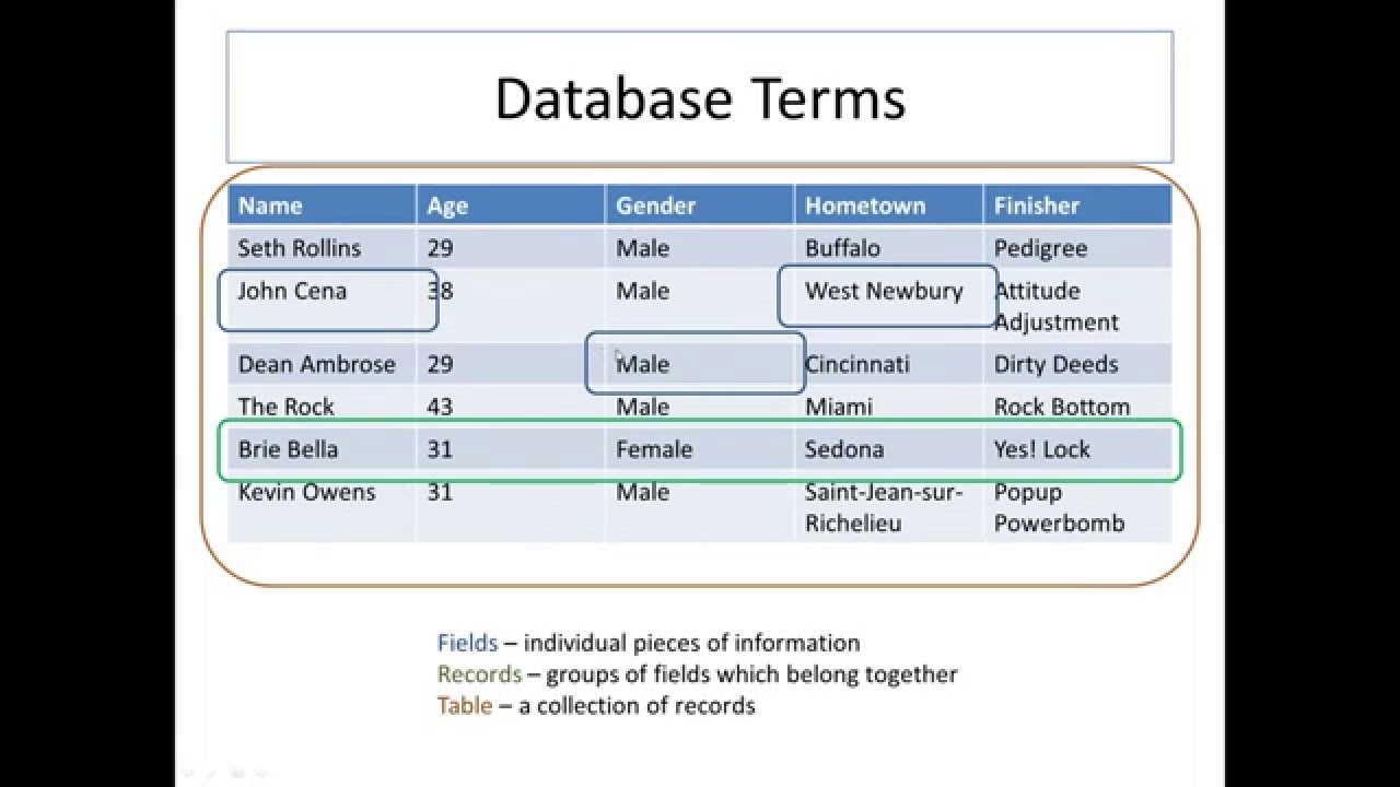 [SQL] Database Key Terms
