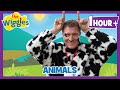 Old MacDonald Animal Songs For Toddlers 60 Min Toddler Video The Wiggles Nursery Rhymes