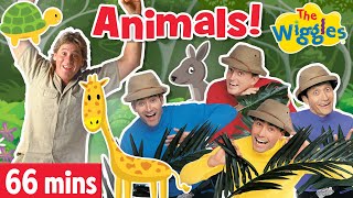 The Wiggles: 1 HOUR Animal Special for #SteveIrwinDay | Animal Songs and Nursery Rhymes for Kids