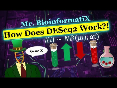 How Does DESeq2 Work ⁉️ Bioinformatics for Beginners | GENE EXPRESSION ANALYSIS