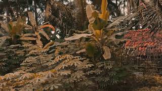 Download lagu SUASANA DESAKU YANG MENJADI KENANGAN mp3 Download lagu SUASANA DESAKU YANG MENJADI KENANGAN mp3