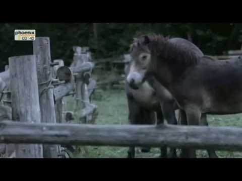 Kampf um Germanien - Die Varusschlacht