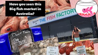 Big fish market in Australia/fish factory Adelaide/variety and price/giant live crab 🦀 🐠