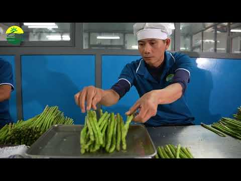 Giới thiệu Công ty TNHH Linh Đan Ninh Thuận