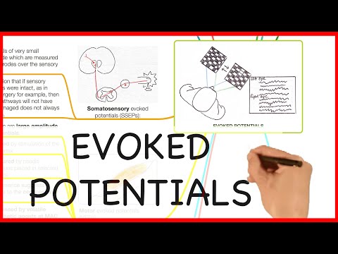 EVOKED POTENTIALS -PHYSICS SERIES
