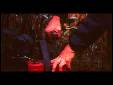 Video $Whiskey Mountain