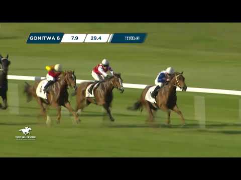 Nagroda Westminster Wiosenna - L (Kat.A) 13.05.2023