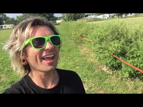 Track DAYZ in Gransee