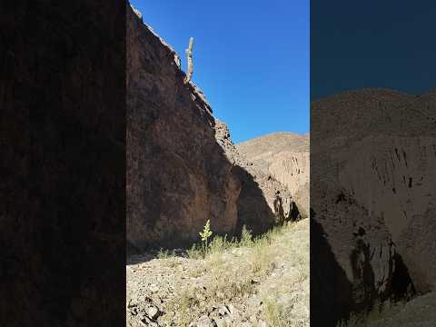 Un camino escondido entre los cerros de Jujuy 🏔️🌵 #Tilcara #Jujuy