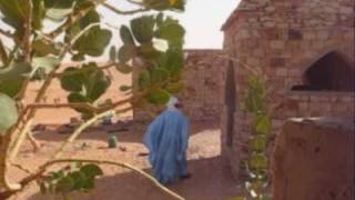 preview picture of video '2009 Mauritanie Chinguetti, construction de maisons en pierres'