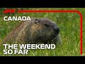 The Weekend So Far... 2023 Canadian Grand Prix