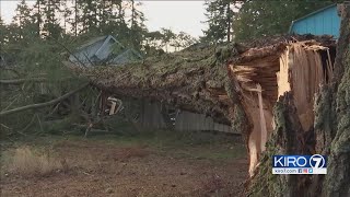 VIDEO: Teen crashes onto Lakewood home during windy weather