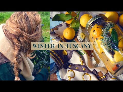 PATIENTLY WAITING IN THE WINTER: Pensive Days in the Garden, the Kitchen & the Sea in Tuscany, Italy