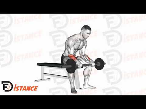 Exercice Flexion des poignets assis à la barre droite