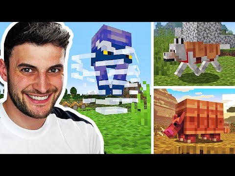 EPIC Minecraft Update! SB737 FLIPS OUT!
