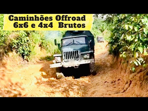 4x4 / 6x6 PESOS PESADOS - Os Brutos também se divertem!