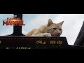 Marvel Studios’ Captain Marvel | Goose Review Spot