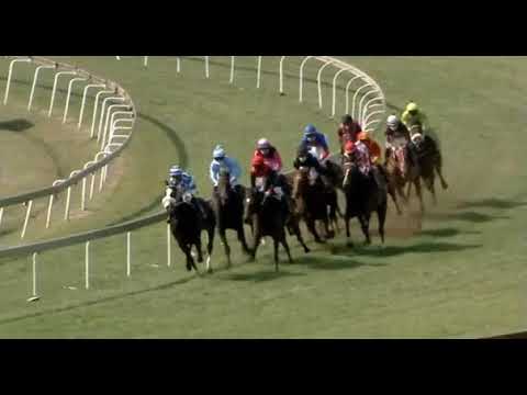 ANYTHING GOES -  JOBURG SPRING F and M CHALLENGE (Grade 2)