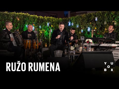 Nikola Rokvić - Ružo rumena