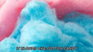 ASTRO (아스트로) Cotton Candy M/V (Music Video) (Eng Sub) [Fanmade]