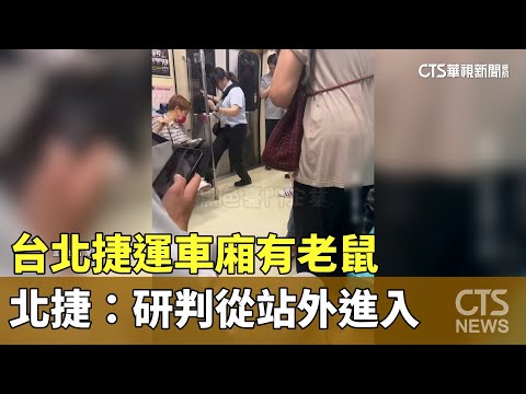 驚！　台北捷運車廂有老鼠　北捷：研判從站外進入