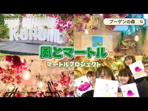 マートル、ブライダルマートル 植物