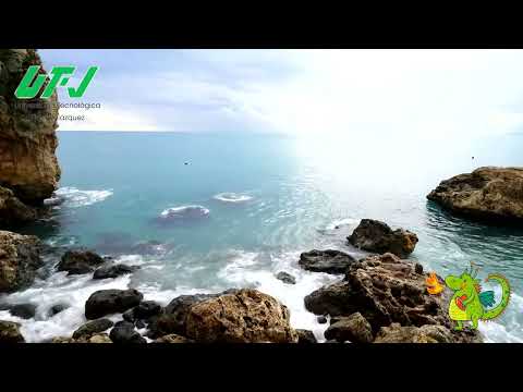 Vela Xochitl Transiciones de video