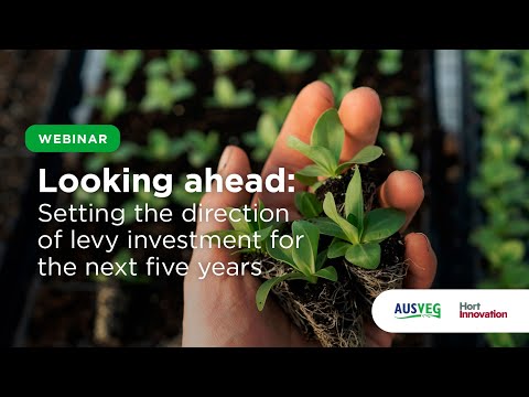 Looking ahead: Setting the direction of levy investment for the next five years