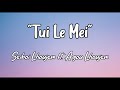 Tui Le Mei Seiboi Thadou Kuki Version Seiboi Agou Original Lyrics Video