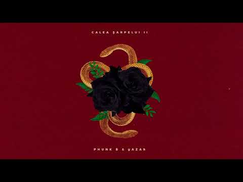 Phunk B x gAZAh - Sparg Industria