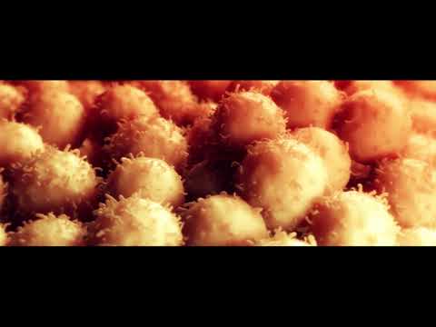 T cell expansion: G-Rex vs rocking/motion bioreactors