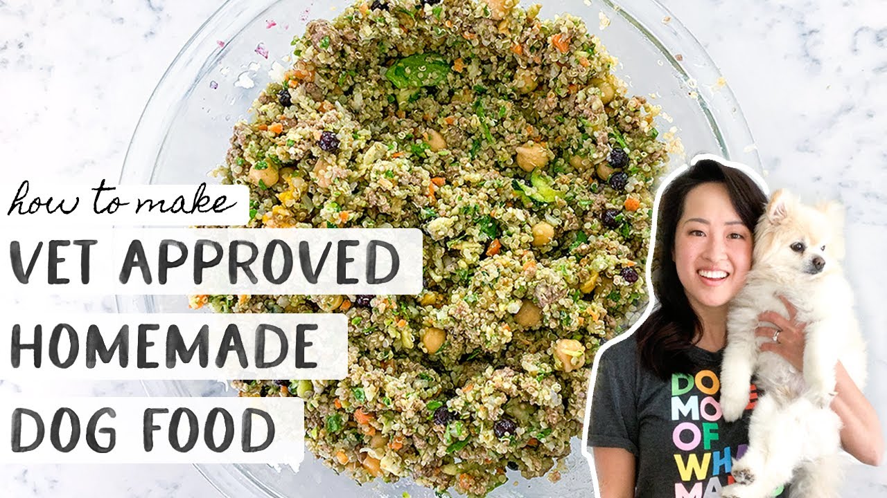 Homemade Dog Food Recipes, Cook Dog Food with Me