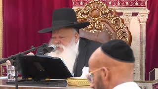 האדם העץ ומה שביניהם | הרב דניאל זר (הרב דניאל זר) - התמונה מוצגת ישירות מתוך אתר האינטרנט יוטיוב. זכויות היוצרים בתמונה שייכות ליוצרה. קישור קרדיט למקור התוכן נמצא בתוך דף הסרטון