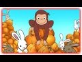 Curious George Pumpkin Boo Curious George Games