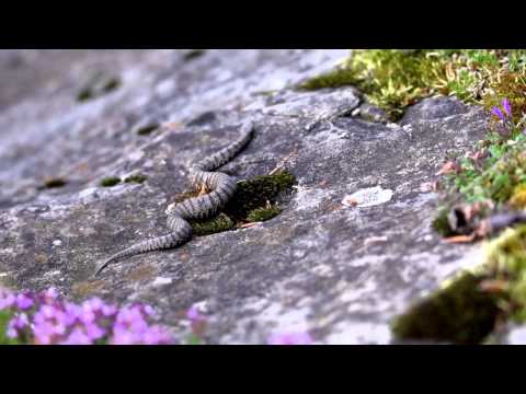 Festival della Montagna // 3-5 ottobre 2014