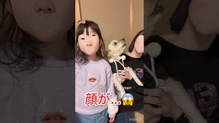 顔が…😂💦　#ゲーム　#ゲーム実況　#びっくり　#まばたき　#ここちゃん