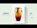 FREE 𝗖𝗢𝗡𝗚𝗔 PERCUSSION KIT VOL 1 SAMPLE PACK FOR PRODUCERS