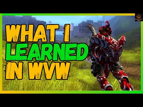 The 7 Critically Important Things I learned Playing WvW In Guild Wars 2