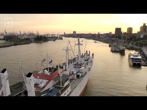 WEIRD Live Stream w/ Oliver Schories (27.05.2020)